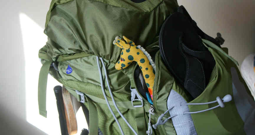Tiny Backpack